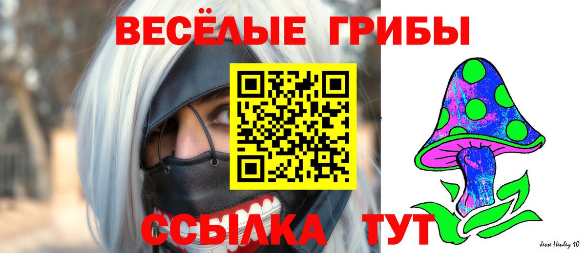 Псилоцибиновые грибы мицелий Рузаевка